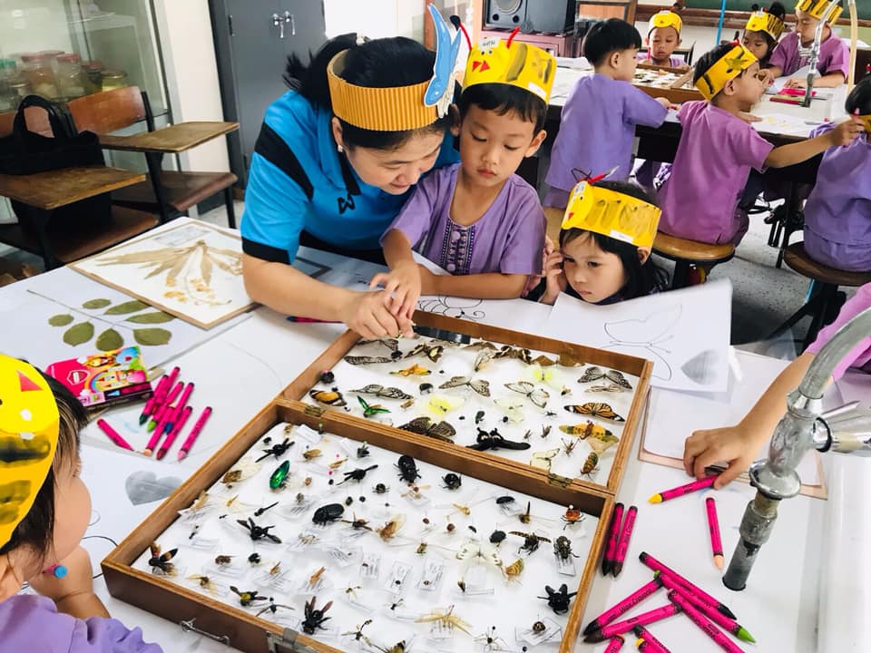 กิจกรรมการเรียนรู้ หน่วยแมลงที่รัก และ ต้นไม้ที่รัก